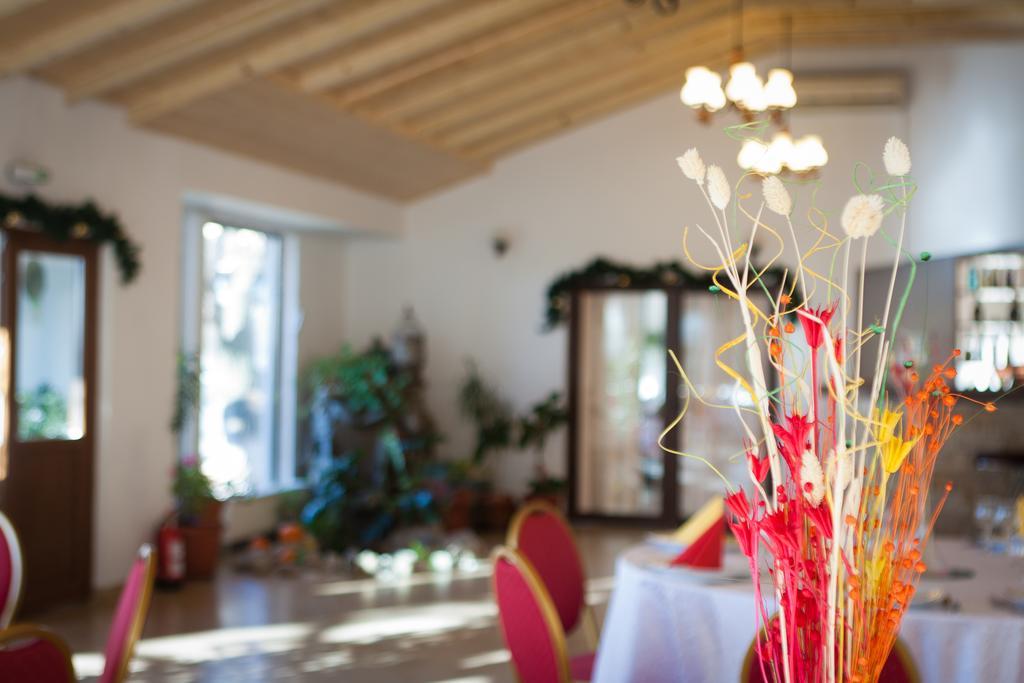 Pension Club Montana Cîmpina Ngoại thất bức ảnh
