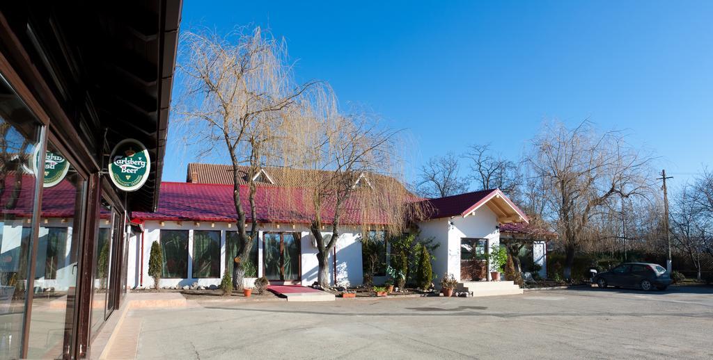 Pension Club Montana Cîmpina Ngoại thất bức ảnh